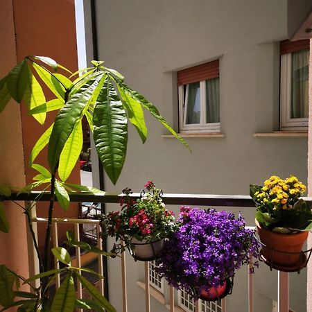 Apartamento Apuleio 11 Roma Exterior foto