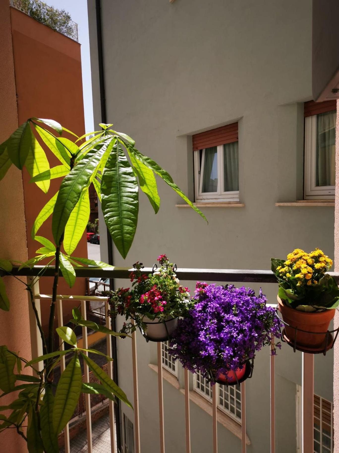 Apartamento Apuleio 11 Roma Exterior foto